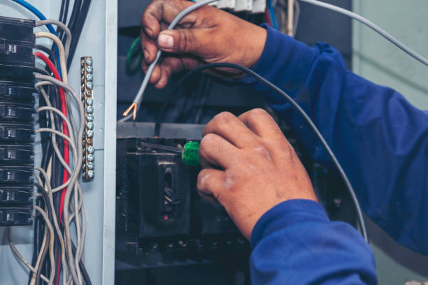 Best Electric Panel Repair  in La Villa, TX